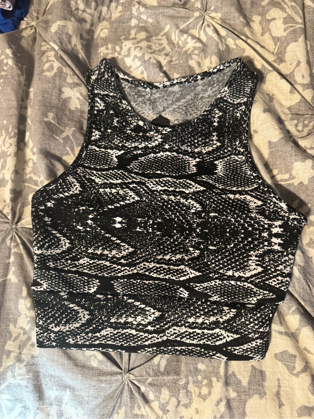Booty by Brabants Black & White Snake-Print Crop Top